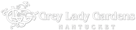 Grey-Lady-Gardens